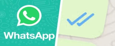 whatsapp delivery read status tick meaning